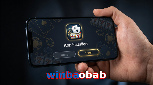Payment and PKR controls in Winbaobab
