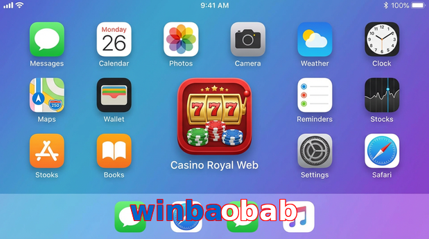 Payment and PKR controls in Winbaobab